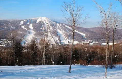 1 Dorr Fitch Road Dover VT 05356