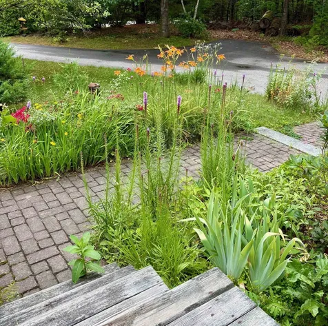 1 Riverside Farm Drive Lee NH 03861