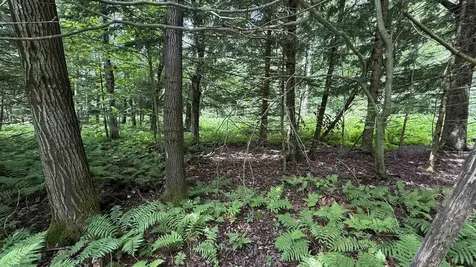 1386 Clif Reynolds Road Cambridge VT 05444