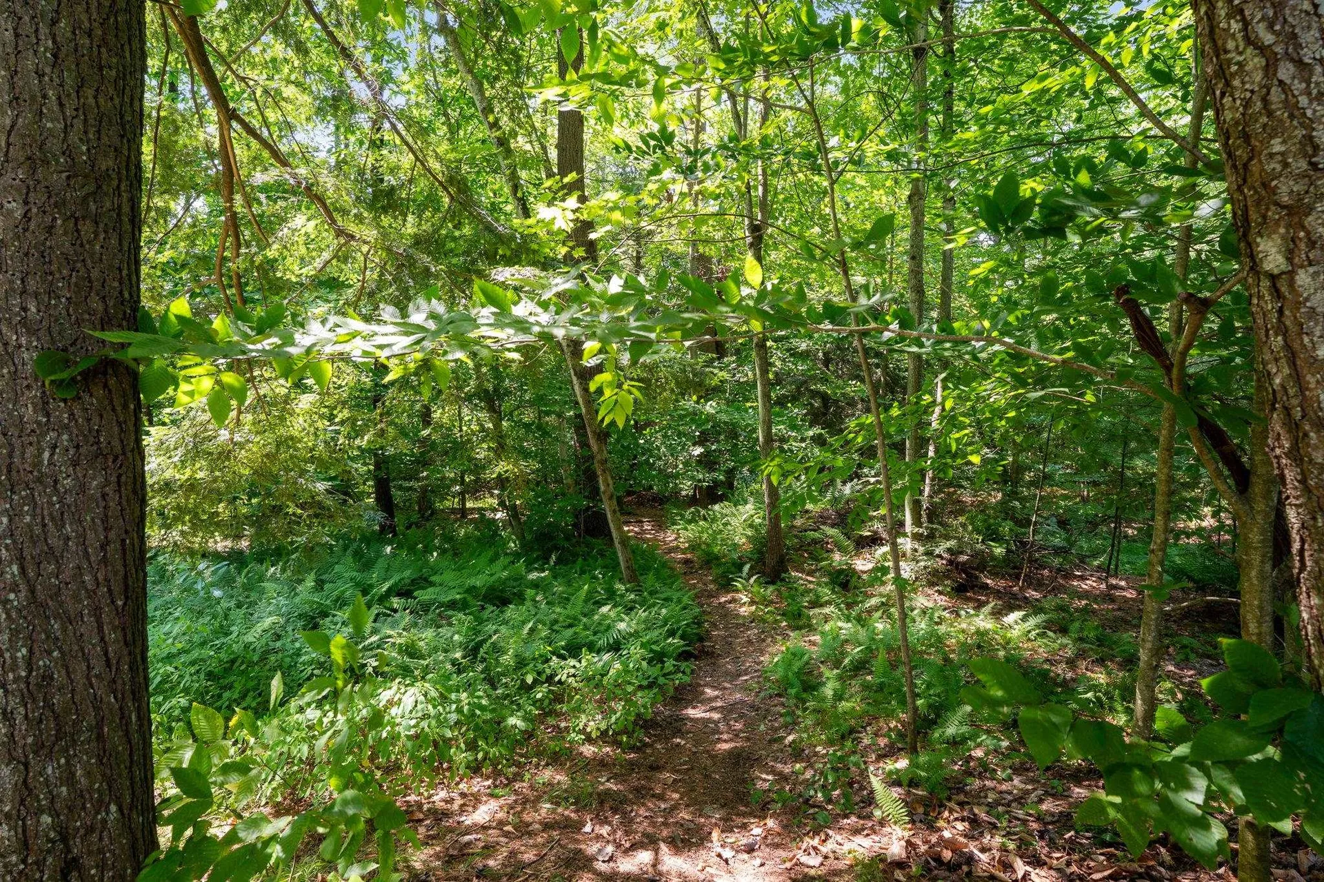 68 Sunny View Drive Jericho VT 05465