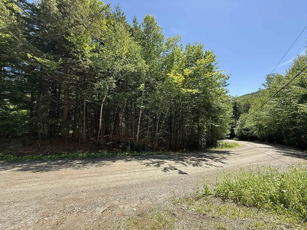 58 Boardman Loop Wardsboro VT 05360