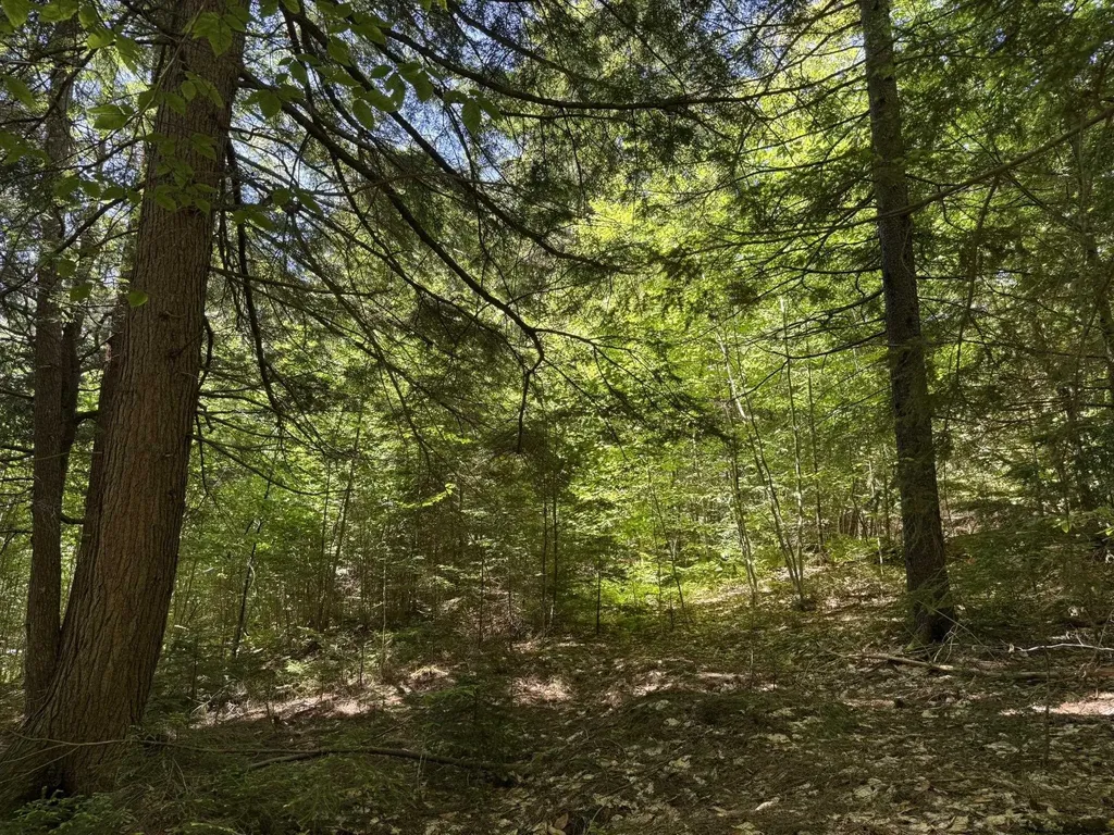 58 Boardman Loop Wardsboro VT 05360