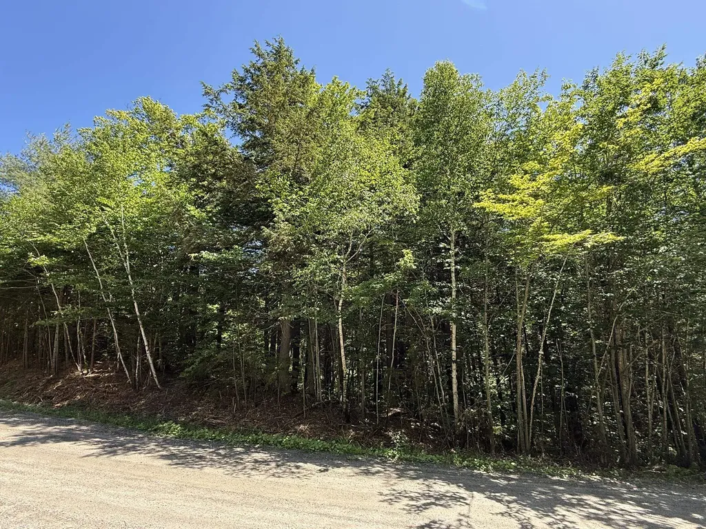 58 Boardman Loop Wardsboro VT 05360