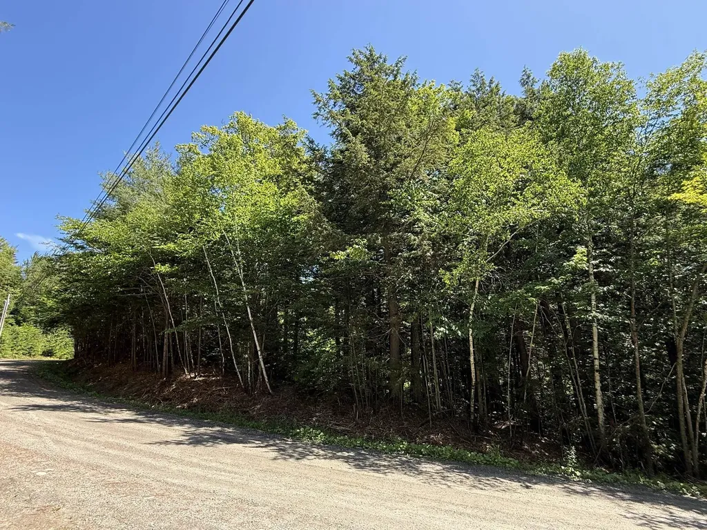 58 Boardman Loop Wardsboro VT 05360