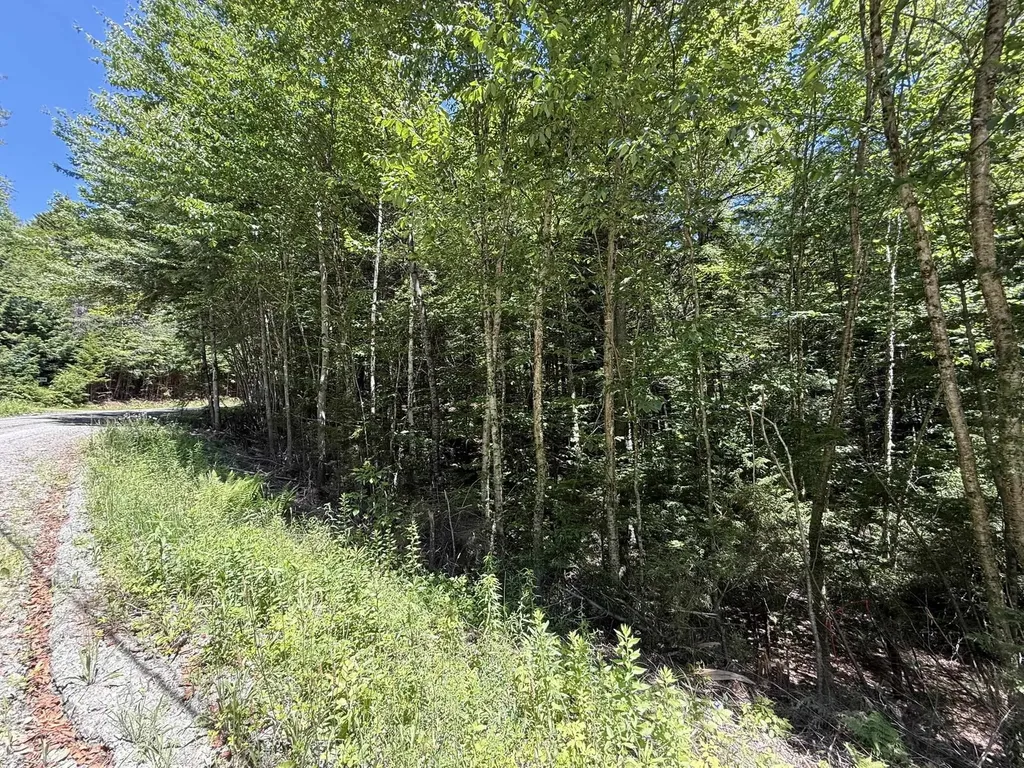 58 Boardman Loop Wardsboro VT 05360