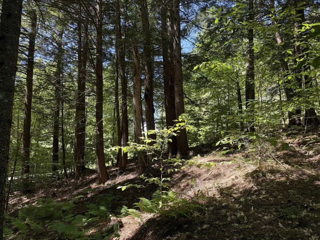 58 Boardman Loop Wardsboro VT 05360