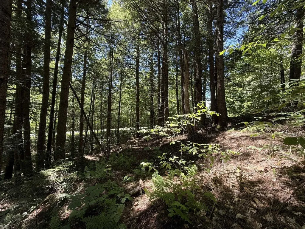 58 Boardman Loop Wardsboro VT 05360