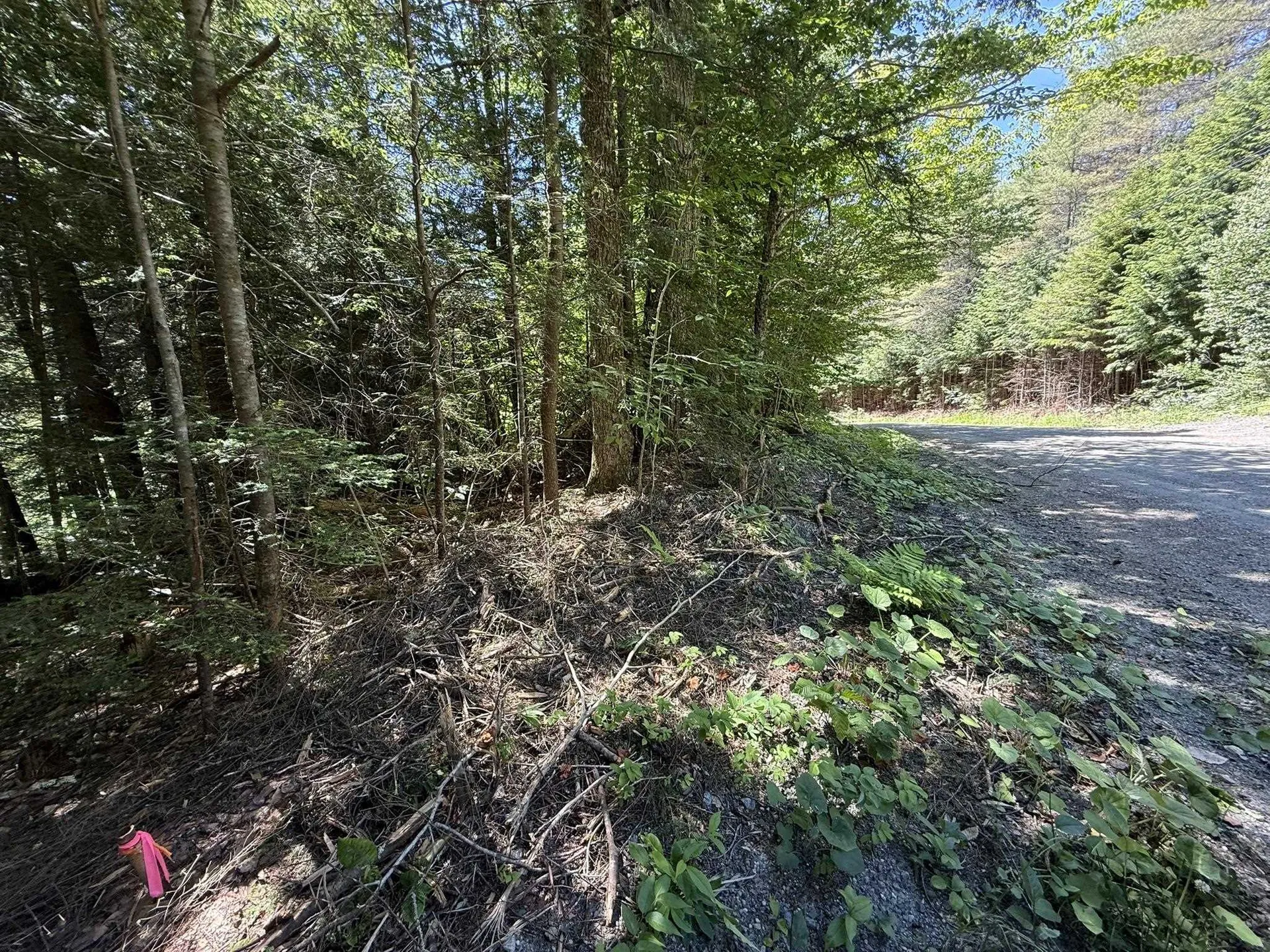 58 Boardman Loop Wardsboro VT 05360