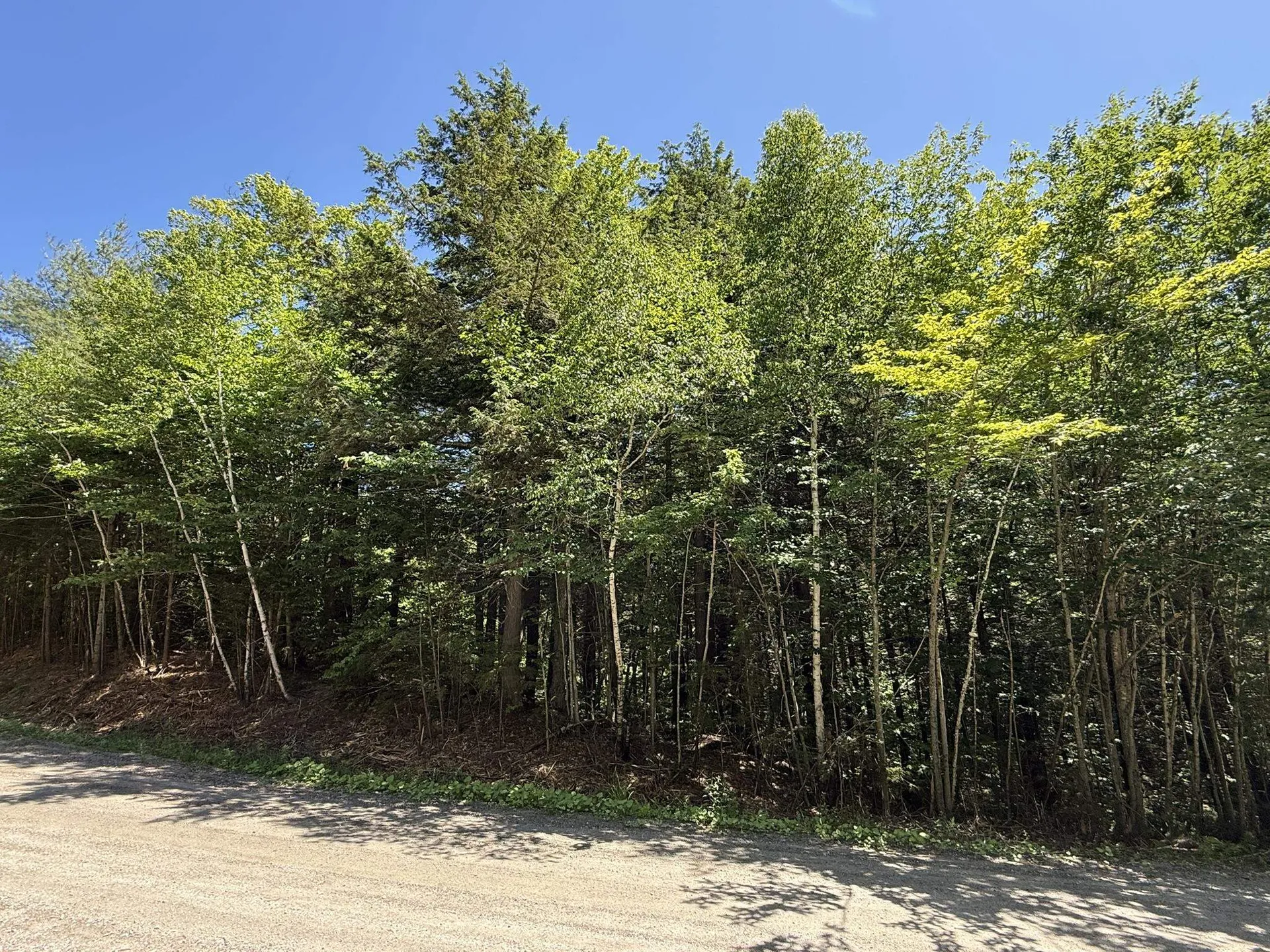 58 Boardman Loop Wardsboro VT 05360