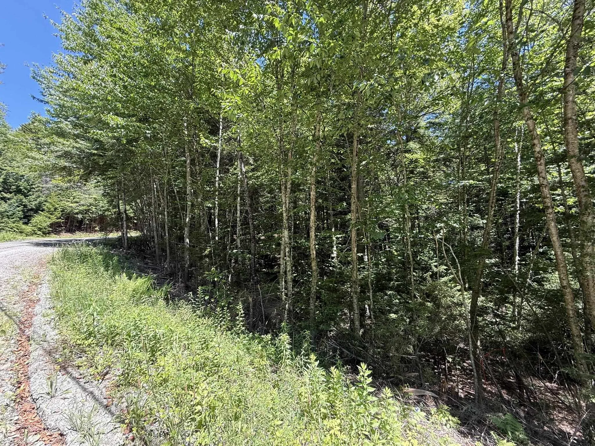 58 Boardman Loop Wardsboro VT 05360