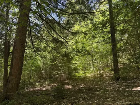 58 Boardman Loop Wardsboro VT 05360