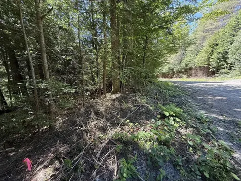 58 Boardman Loop Wardsboro VT 05360