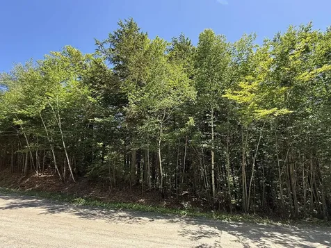 58 Boardman Loop Wardsboro VT 05360