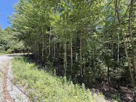 58 Boardman Loop Wardsboro VT 05360