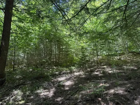 58 Boardman Loop Wardsboro VT 05360