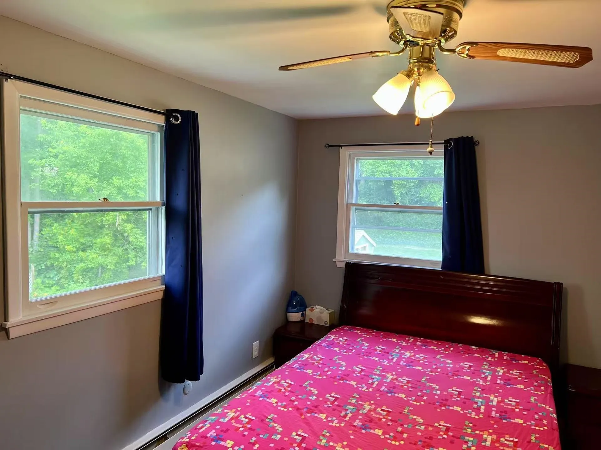 166 Lakeview Drive Shelburne VT 05482