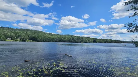 115-54 Tigola Trail Stoddard NH 03464