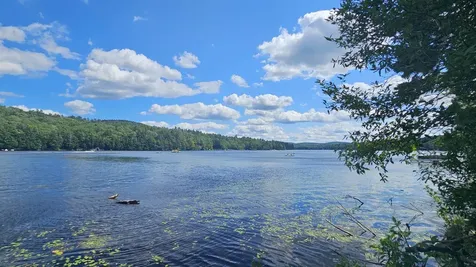 115-54 Tigola Trail Stoddard NH 03464