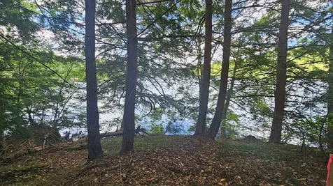 115-54 Tigola Trail Stoddard NH 03464