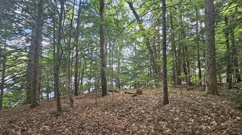 115-54 Tigola Trail Stoddard NH 03464