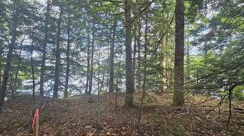 115-54 Tigola Trail Stoddard NH 03464