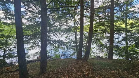 115-54 Tigola Trail Stoddard NH 03464