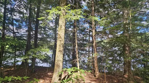 115-54 Tigola Trail Stoddard NH 03464