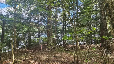 115-54 Tigola Trail Stoddard NH 03464