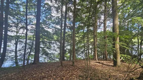 115-54 Tigola Trail Stoddard NH 03464