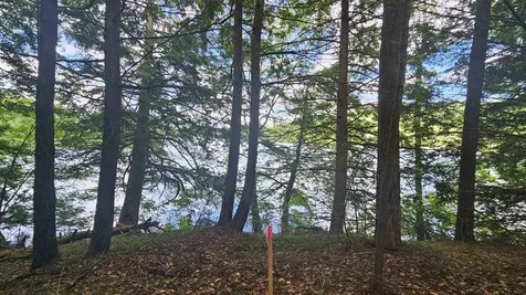 115-54 Tigola Trail Stoddard NH 03464