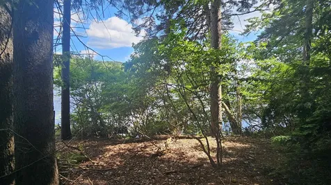115-54 Tigola Trail Stoddard NH 03464