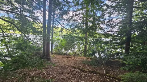 115-54 Tigola Trail Stoddard NH 03464