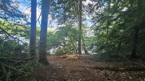 115-54 Tigola Trail Stoddard NH 03464