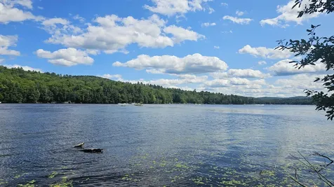 M115 L54 Tigola Trail Stoddard NH 03464