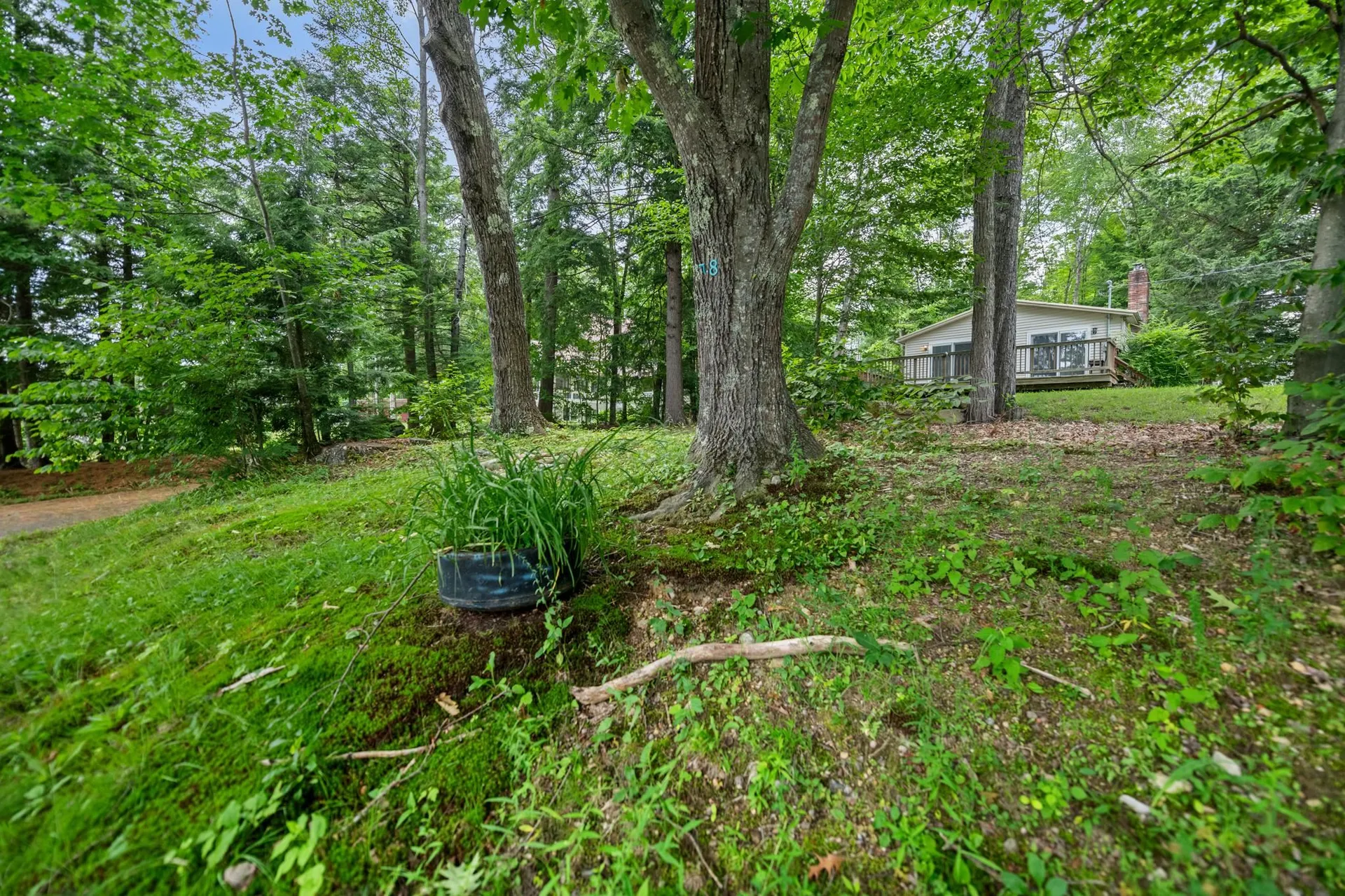 78 Shore Drive N Bridgewater NH 03222