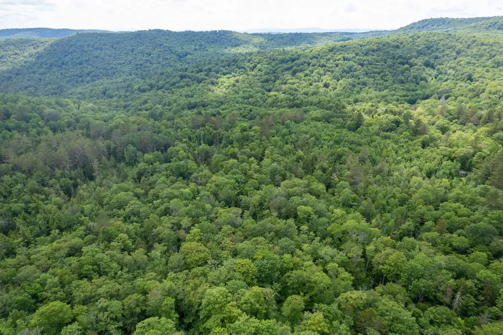 230 Taylor Valley Road Strafford VT 05072