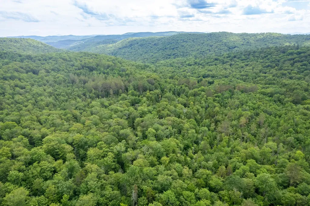 230 Taylor Valley Road Strafford VT 05072