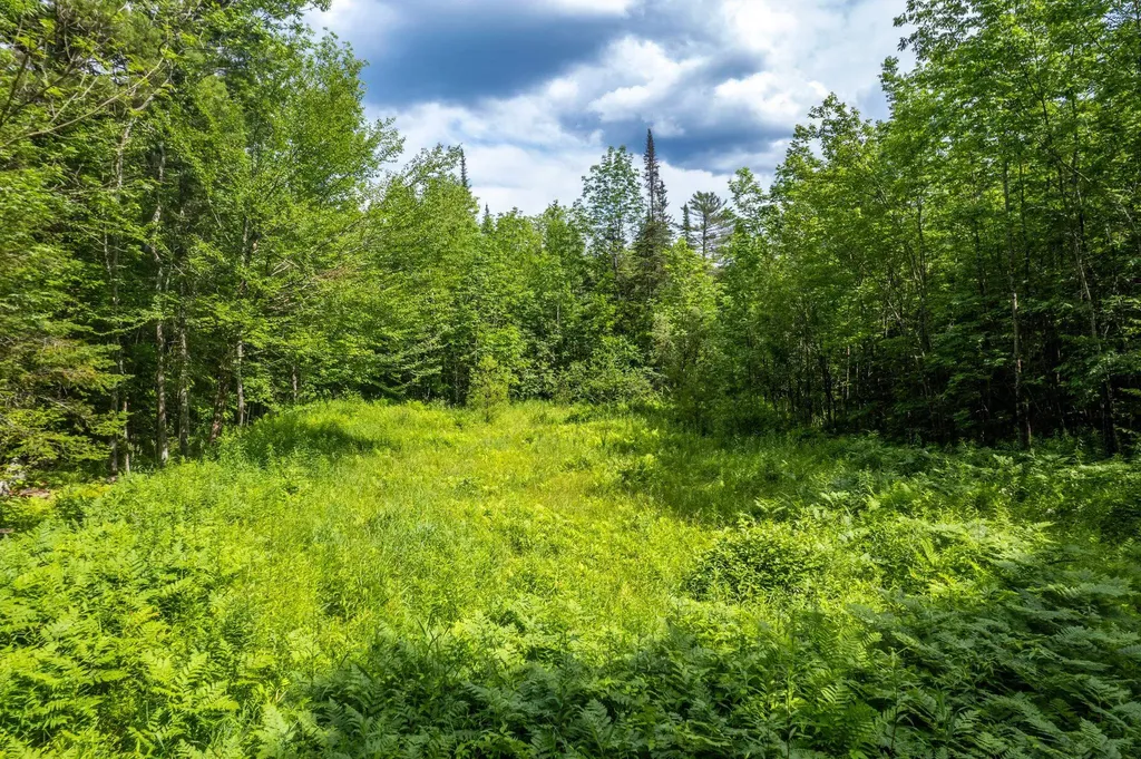 230 Taylor Valley Road Strafford VT 05072