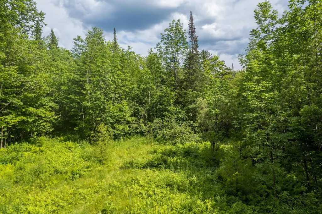 230 Taylor Valley Road Strafford VT 05072