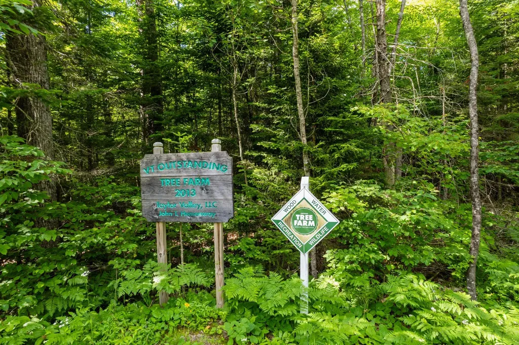 230 Taylor Valley Road Strafford VT 05072