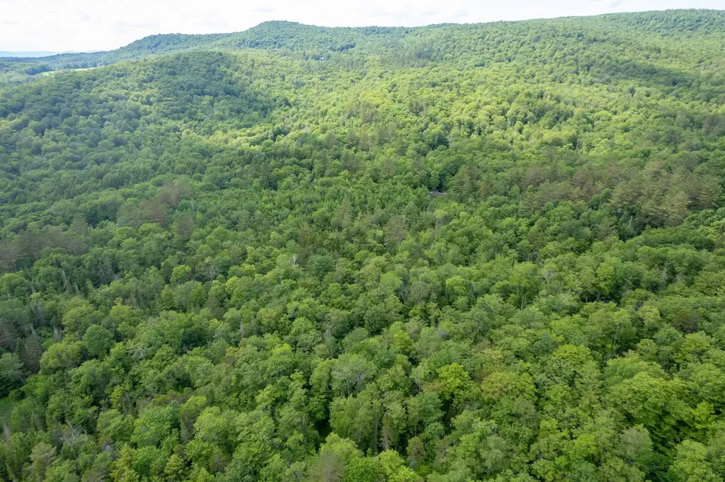 230 Taylor Valley Road Strafford VT 05072