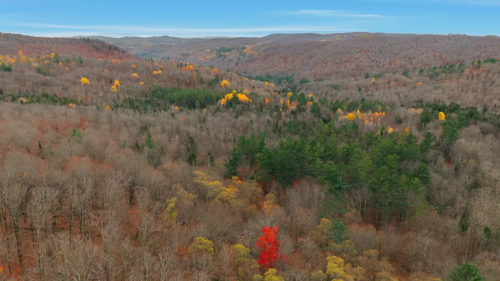 230 Taylor Valley Road Strafford VT 05072