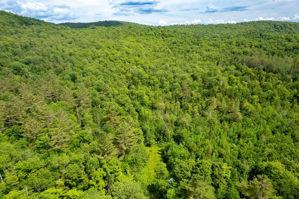 230 Taylor Valley Road Strafford VT 05072