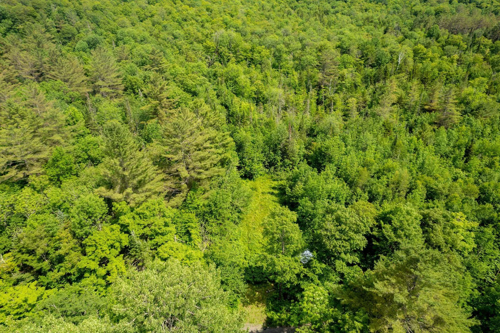 230 Taylor Valley Road Strafford VT 05072