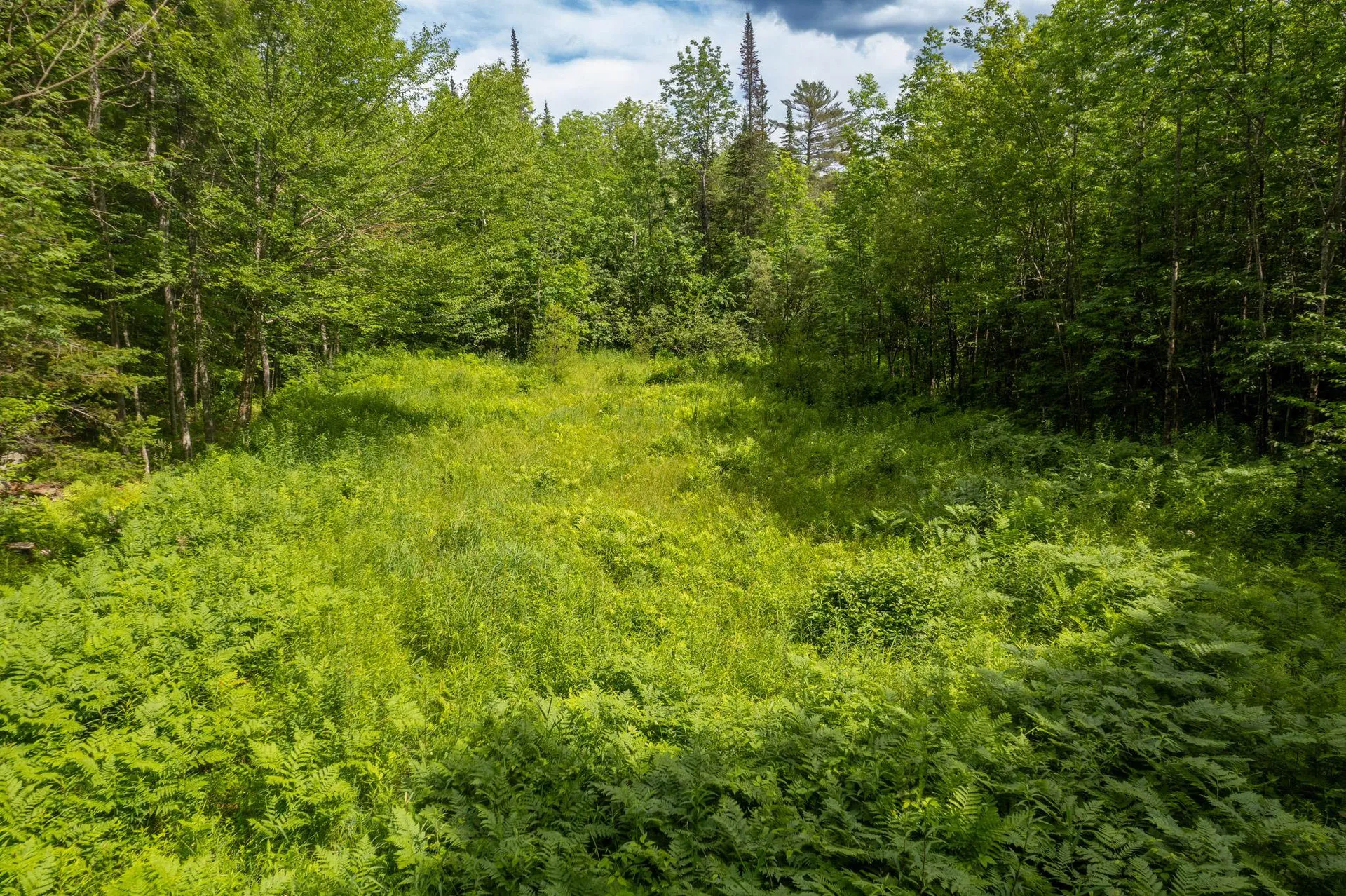 230 Taylor Valley Road Strafford VT 05072