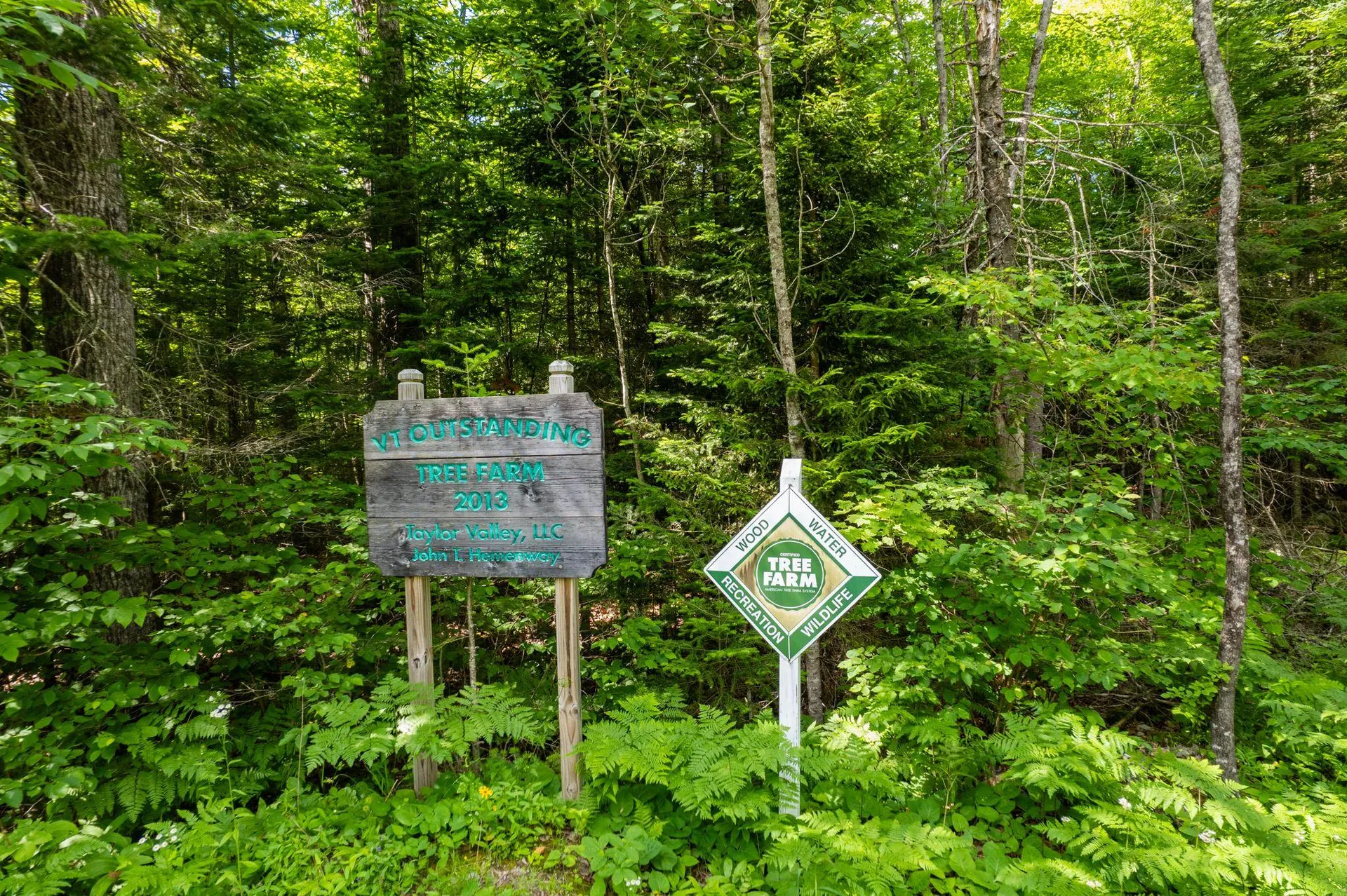 230 Taylor Valley Road Strafford VT 05072