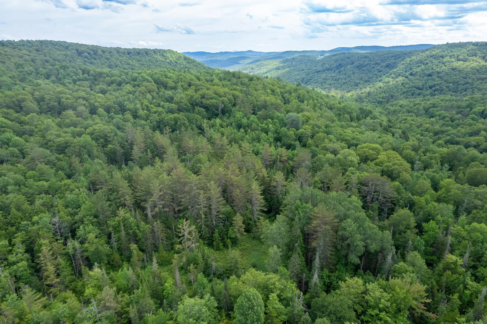 230 Taylor Valley Road Strafford VT 05072