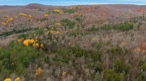 230 Taylor Valley Road Strafford VT 05072