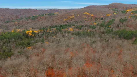 230 Taylor Valley Road Strafford VT 05072