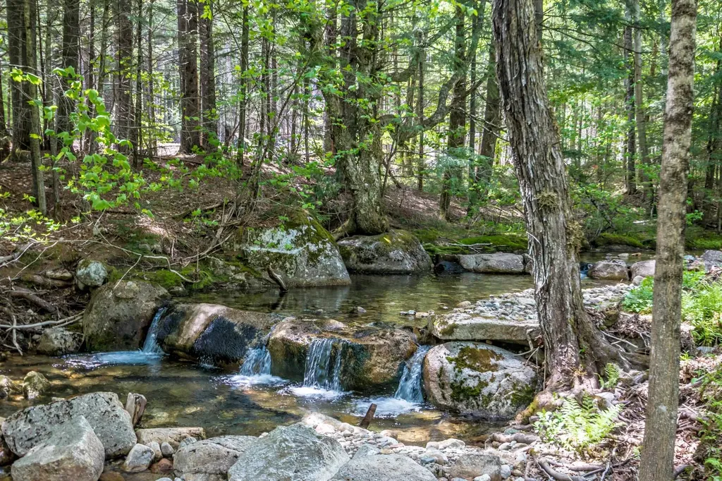 516 Dundee Road Jackson NH 03846